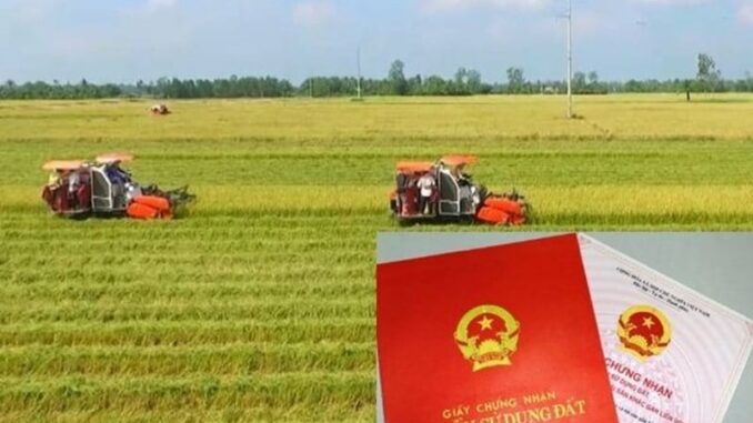 dat-nong-nghiep-4-1235